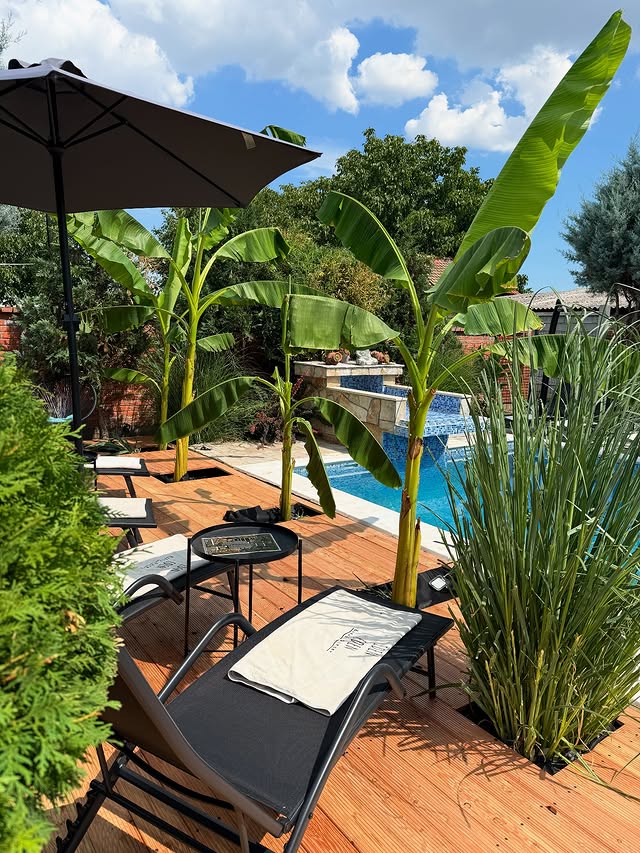 EDEN bazen Bali Maldivi vibe